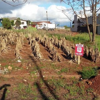 Vende-se terrenos no bairro jardim do sol em Marau