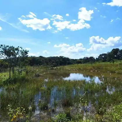 Comprar Fazenda