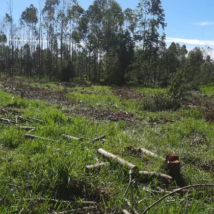 Comprar Fazenda