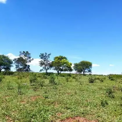 Comprar Fazenda