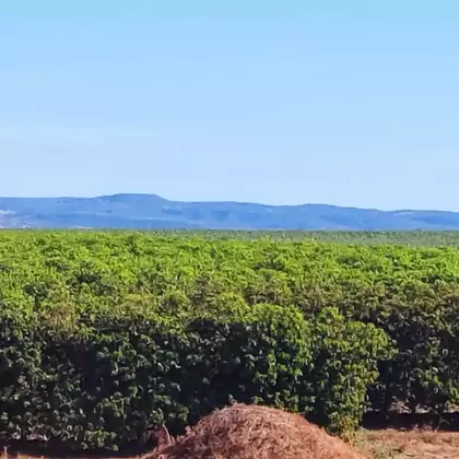 Comprar - Fazenda