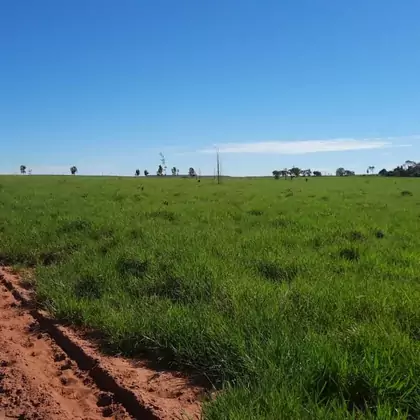 Comprar Fazenda