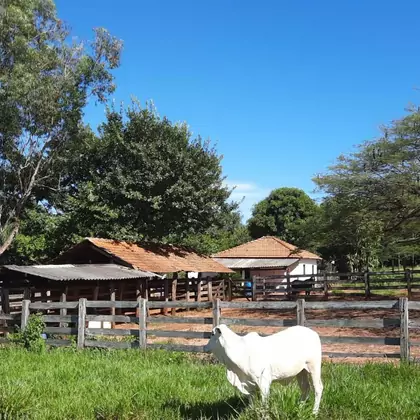 Comprar Fazenda