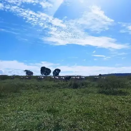 Comprar Fazenda