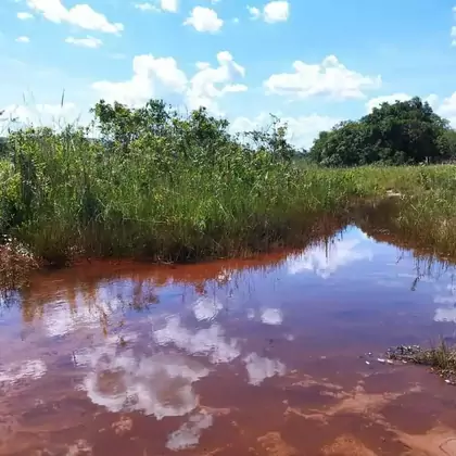 Comprar Fazenda