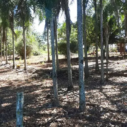 Comprar Fazenda