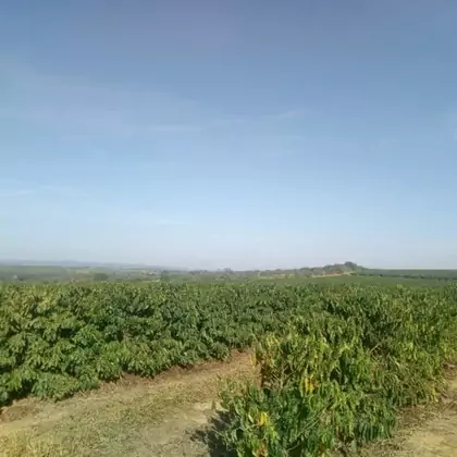 Comprar - Fazenda