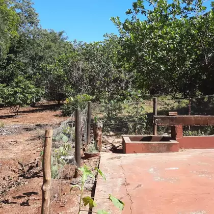 Comprar Fazenda