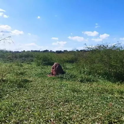 Comprar Fazenda