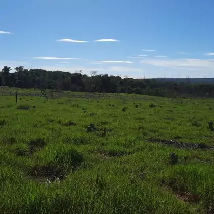 Comprar Fazenda