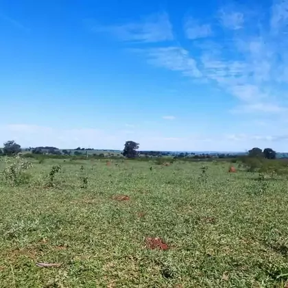 Comprar Fazenda