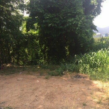Comprar Terreno Comprar Terreno