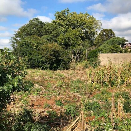 Comprar - Terreno Comprar - Terreno