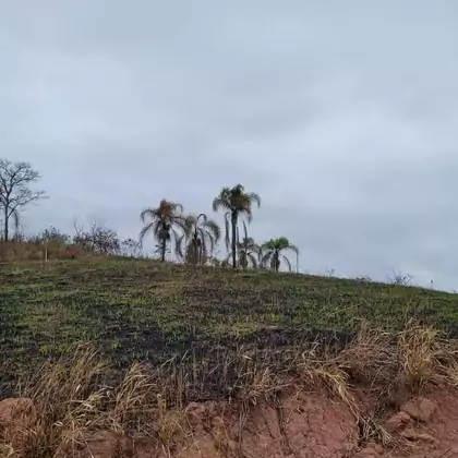 Comprar - Terreno