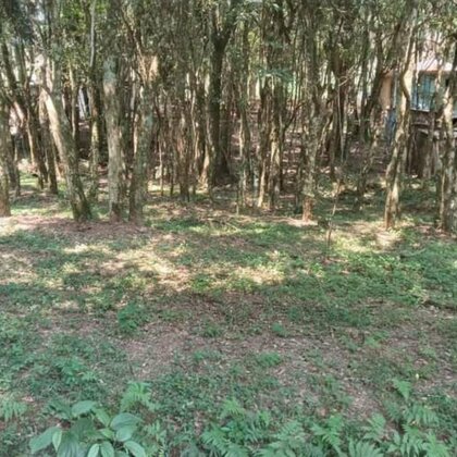 Vende-se Terreno