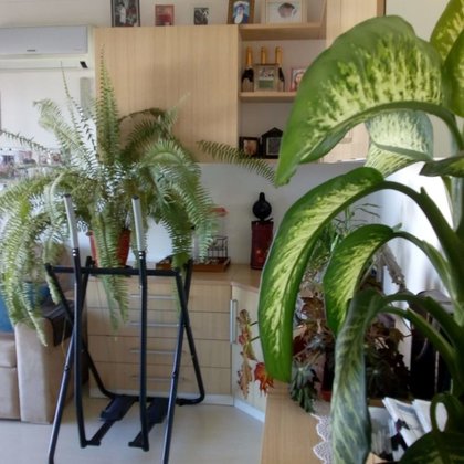 Vender - Apartamento Vender - Apartamento