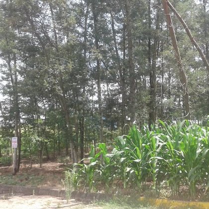 Vender - Terreno Vender - Terreno