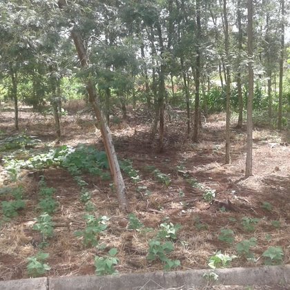 Vender - Terreno Vender - Terreno
