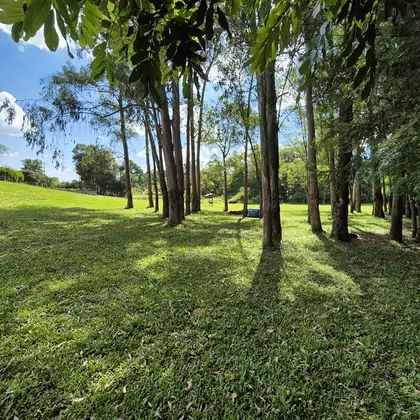 Área para sitio entre Marau e Passo fundo