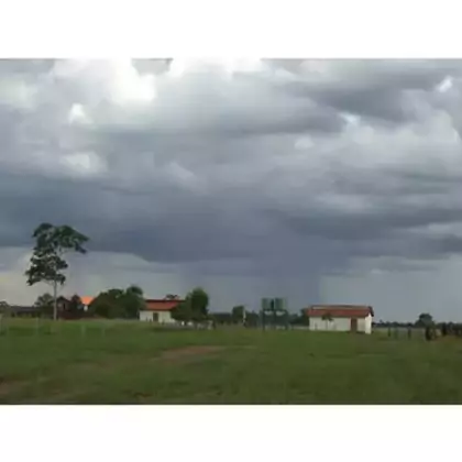 Comprar Fazenda