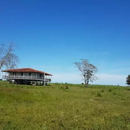 Comprar Fazenda