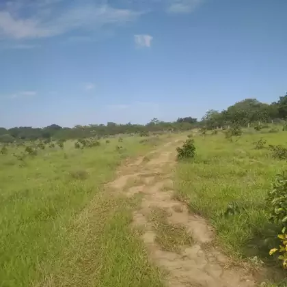 Comprar Fazenda