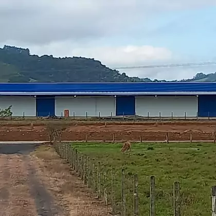 Comprar Pavilhão