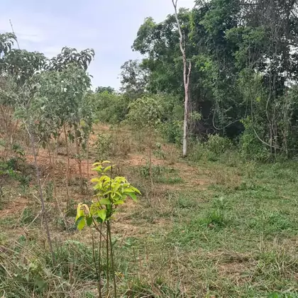 Vende-se - Terreno