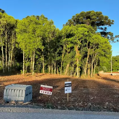 TERRENO A VENDA NO BAIRRO BORGES