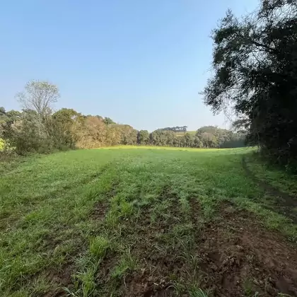 Vende-se área de terra para plantio ou Área para sítio por ter rio na divisa