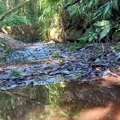 Venda - área de terras