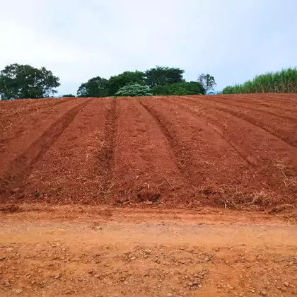 Venda - área de terras