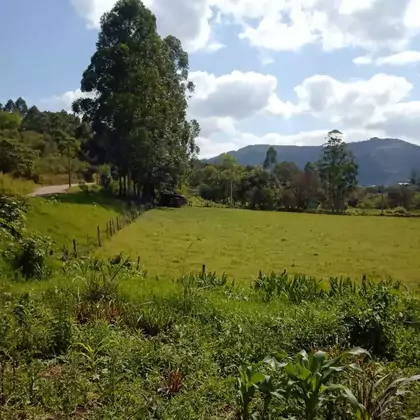 Venda - área de terras