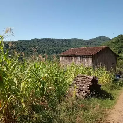 Venda - Chácara