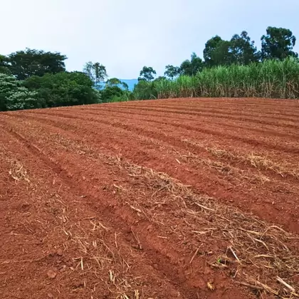 Venda - área de terras