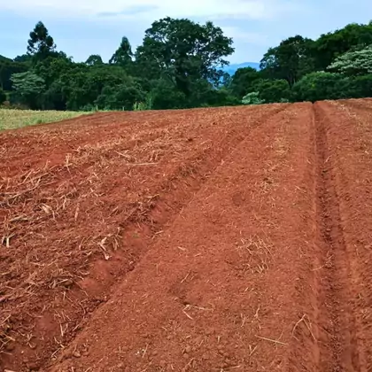 Venda - área de terras