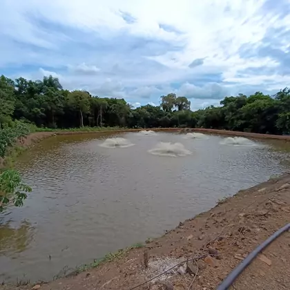 Vende-se Área Rural