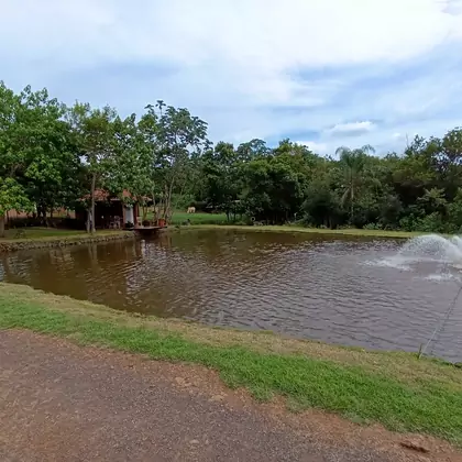 Vende-se Área Rural