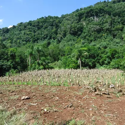 Comprar Área de Terra