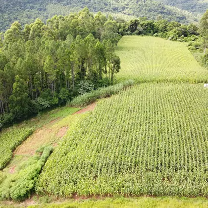 Comprar Área de Terra