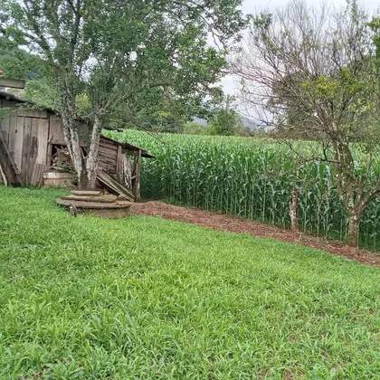 Alugar Casa e Sobrado