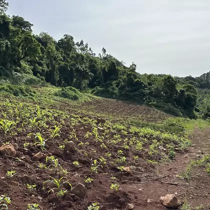 Comprar Área de Terra