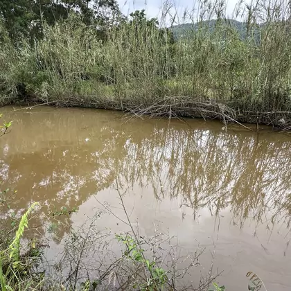 Comprar Área de Terra