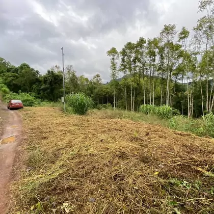 Comprar Área de Terra