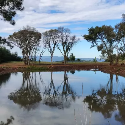 Comprar Área de Terra