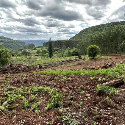 Comprar Área de Terra