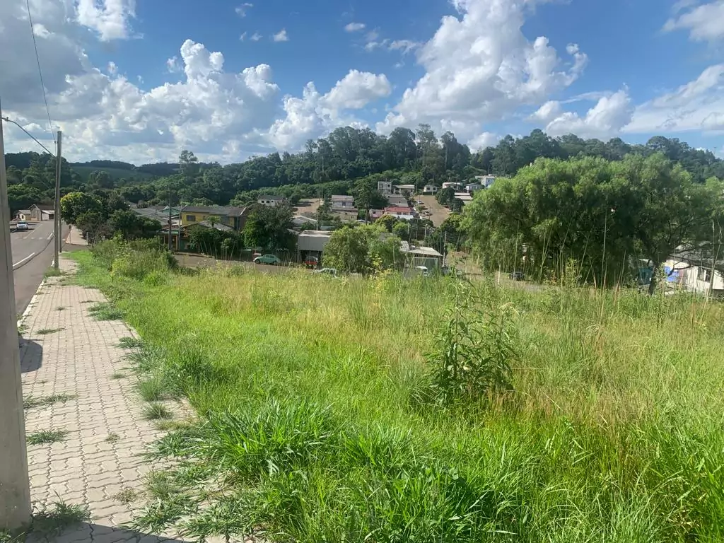 vista da Rua Primavera