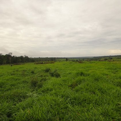 Comprar - Fazenda