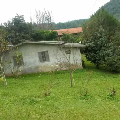 Comprar - Área Rural