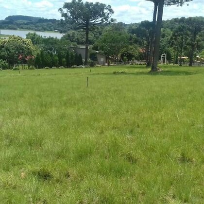 Vende-se Terreno Vende-se Terreno